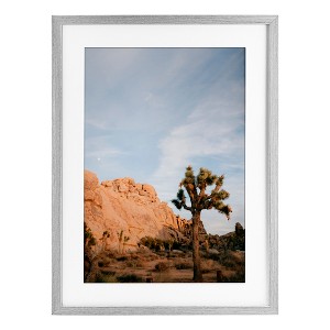 Stupell Industries Joshua Tree & Canyon Framed Print Under Glass Art - 1 of 4