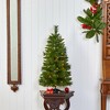 Nearly Natural 3-ft New Haven Pine Artificial Christmas Tree with 50 Warm White LED Lights and 93 Bendable Branches - 4 of 4