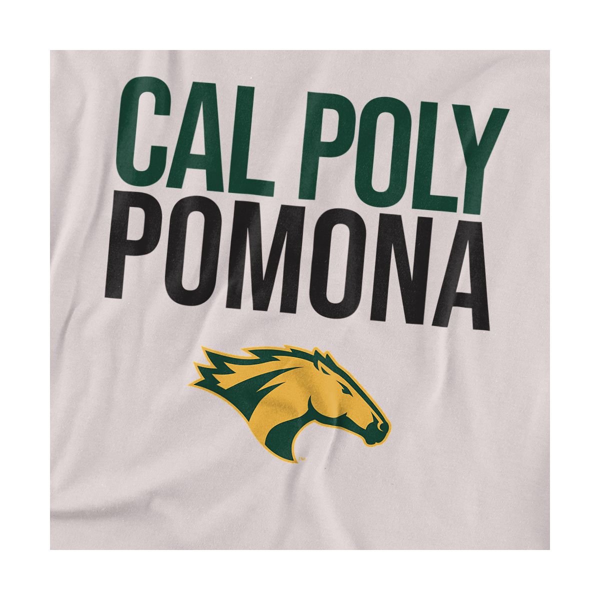 Men's California State Polytechnic University Pomona Official T-Shirt - thumbnail 8