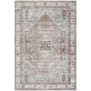 Antique Patina ANP646 Power Loomed Indoor Rugs - Safavieh - 1 of 4