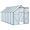 Outdoor Patio 6x8 FT Greenhouse,  Greenhouse with Sliding Door, Greenhouse with Large Storage for Multiple Scenarios-Coolbibila - 4 of 4
