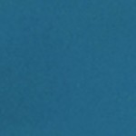 blue/navy blue