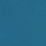 blue/navy blue