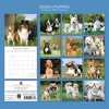 2026 Square Wall Calendar, Dogs & Puppies, 16-Month Animals Theme with 180 Reminder Stickers (12x12 In) - 4 of 4