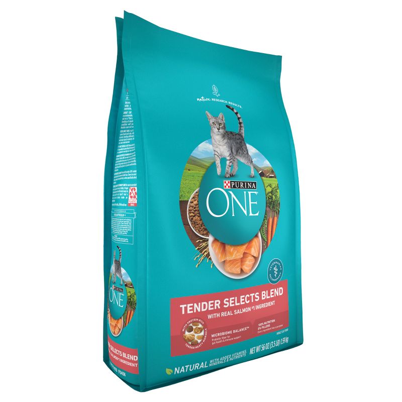 Purina ONE Tender Selects Natural Dry Cat Food with Real Salmon & Fish, 5 of 10