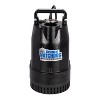The Basement Watchdog 1/2 HP 4,400 gph Cast Iron Dual Reed Switch AC Submersible Sump Pump 10 ft³ - 2 of 3