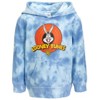 LOONEY TUNES Buggs Bunny Fleece Hoodie Toddler - 2 of 4