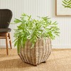 Plum & Post Sylvie Square Taper Basket Large - 4 of 4