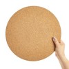 Juvale 3 Pack Plant Cork Mat, Round Planter Plate for Home Decor, House Plants (12 in) - 4 of 4