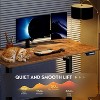 GALAXHERO 48 x 24 Inches Height Adjustable Electric Standing Desk for Home Office, Ergonomic Sit to Stand Desk with Phone Holder - 4 of 4