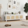 MAYEERTY 58*20" Double Hidden Cat Cabinet with Rattan Doors & Dual Entrances - Two Cats, White - 2 of 4