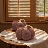 FURNIinspire Decorative Objects Pumpkin Pumpkin Ornament Decor Set Of 2, Holiday Festival Gifts, Table Decorations, Brown, 8.3"*8.3"*5.3" - 3 of 4