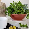 The HC Companies 18 Inch Sun Fade and Crack Withstanding Leakproof Plastic Plain Semi Circular Garden Bowl Planter, Chocolate Brown (4 Pack) - 4 of 4