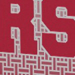 washington state cougars