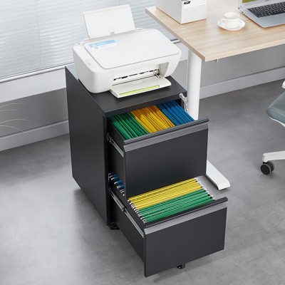 Grungis File Cabinet with Lock,2-Drawer Metal Filing Cabinet with 2 Casters Brakes,Office Cabinet for A4 and Letter Size Documents