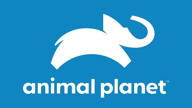 Animal Planet Giant Giraffe 30&#34; Stuffed Animal, 2 of 6, play video