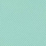 Aqua