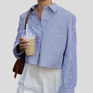 Women Blue Stripe Button-Down Shirt with Turn-Down Collar & Cuffed Sleeves – Polyester-Cotton Blend Cherie Code - 1 of 3