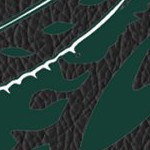 michigan state spartans