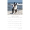 2026 Square Wall Calendar, Bulldogs, 16-Month Animals Theme with 180 Reminder Stickers (12x12 In) - 3 of 4