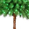 Puleo 6' Pre-Lit Artificial Palm Tree with Green and Clear Lights - 2 of 4