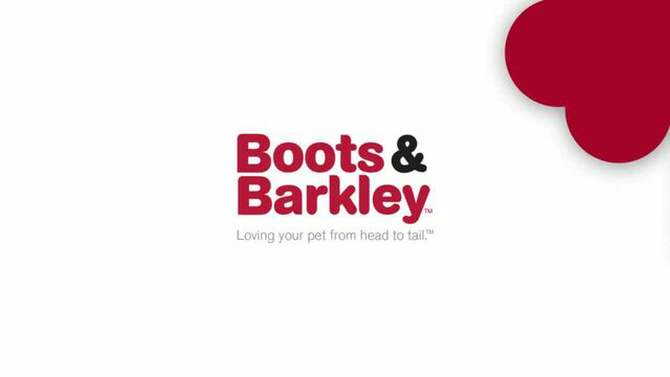 Reflective Dog Adjustable Collar - Tomato Red - Boots & Barkley™, 2 of 6, play video