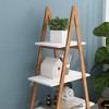 QingMoon 4-Tier Ladder Bookcase, A Shape Multifunctional Display Shelf, Solid Bamboo Wood Storage Rack for Home and Office - 4 of 4