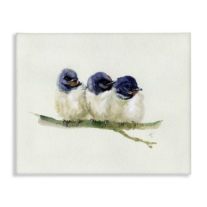 Stupell Industries Trio of Baby Swallows Birds Perched on Branch Canvas Wall Art - 1 of 4