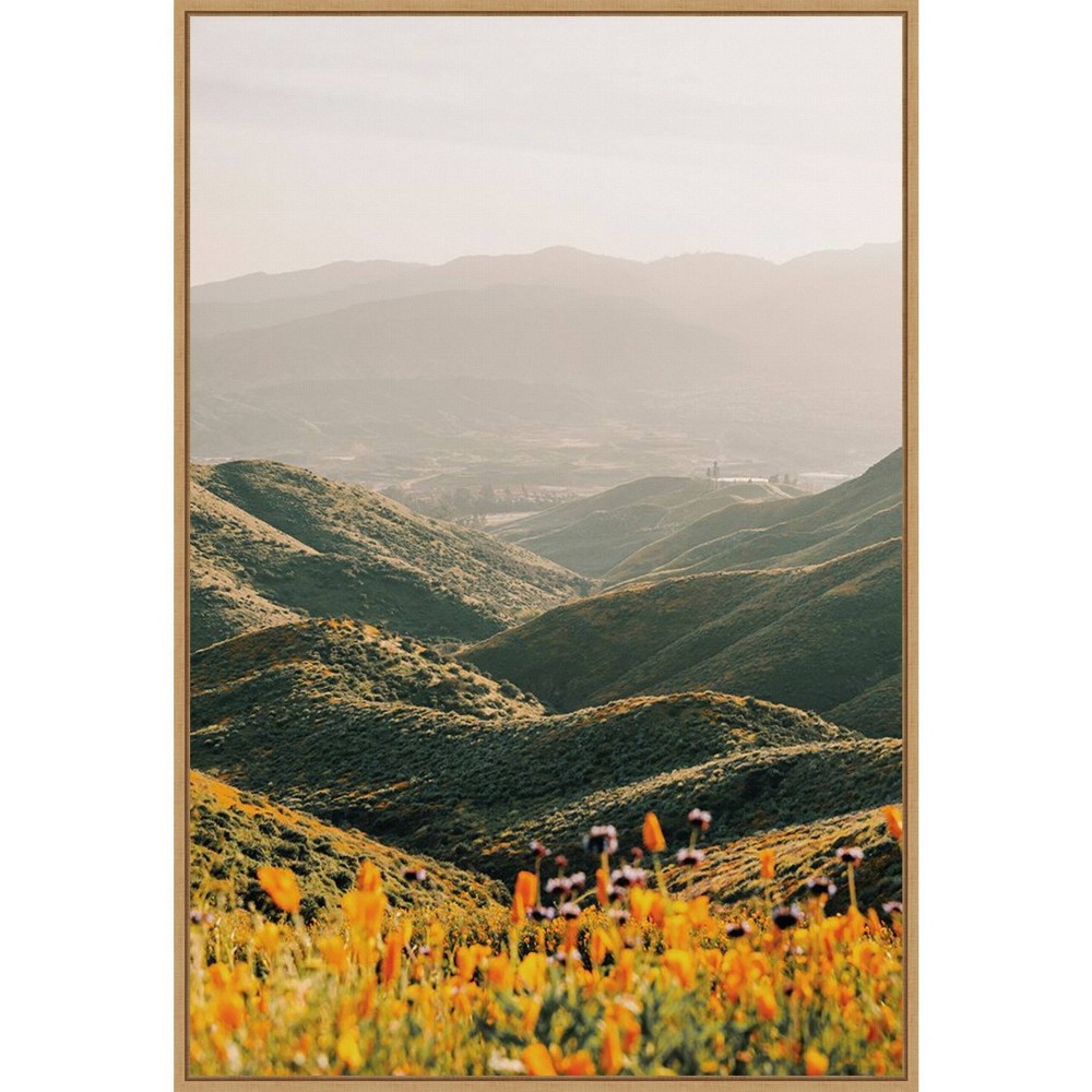 Photos - Other Decoration 23" x 33" Palomar by Krista Broadway Framed Canvas Wall Art Print - Amanti Art: Hand-Stretched, Modern Decor