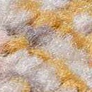 charcoal, mustard, camel, dusty pink, light gray, off white, sky blue