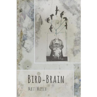 Bird Brain - by  Matt Mauch (Paperback)