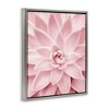 Stupell Industries Pastel Pink Succulent Floating Frame Canvas Art, Gray, 17" x 21" - 2 of 4
