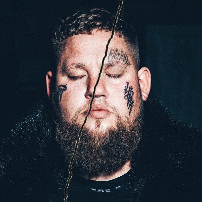 Rag 'N' Bone Man - Life By Misadventure (Vinyl)