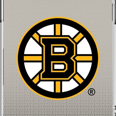 boston bruins
