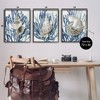 Stupell Industries Trio of Shells & Coral, 24" x 30" - 3 of 4