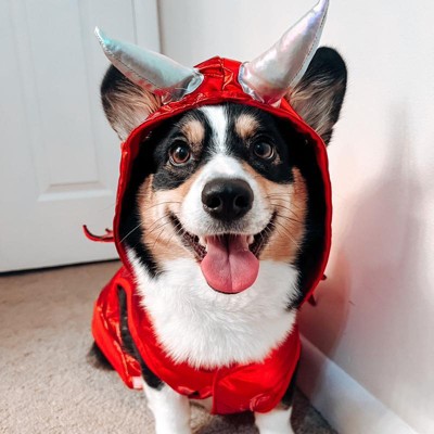 Halloween Red Metallic Devil Dog and Cat Hoodie Costume - XS - Hyde & EEK!  Boutique™