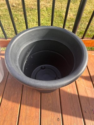 Guest review image 2 of 2, zoom in