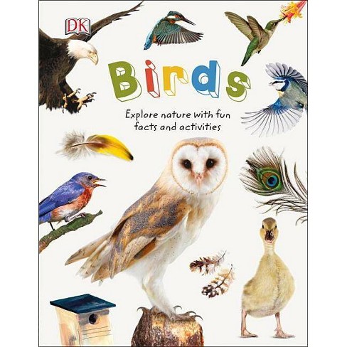 Birds - (nature Explorers) Dk (hardcover) : Target