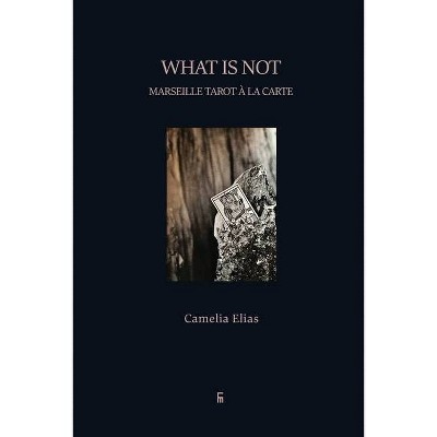 What is not - (Divination) by  Camelia Elias (Paperback)