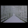Northlight Large Fiber Optic Lighted Winter Wooden Bridge Canvas Wall Art 23.5" x 15.5" - 3 of 3