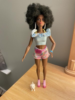 BARBIE Afro Doll w/ Roller Skates Fashion Accessories & Pet Puppy HPL77 NEW