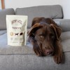 Hemp Well Thrive Dog Soft Chews – Your Dog's Daily Wellness Alternative - 2 of 4
