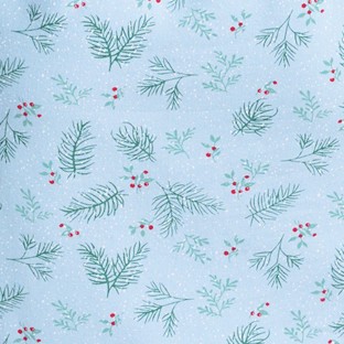 spruce and snow