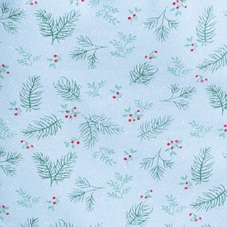 spruce and snow