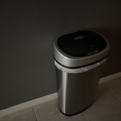 Nine Stars 18.5gal Motion Sensor D-shape Stainless Steel Recycling Trash  Can : Target