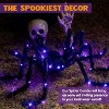 Joyfy Halloween 5FT LED Light-up Spider, Black Hairy Spider Outdoor Decor, Large Spiders for Halloween Decoration Outdoor Yard Lawn Garden Party Prop - 3 of 4