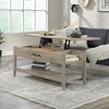 Summit Station Lift Top Coffee Table Laurel Oak - Sauder: Storage, Modern Design, Versatile Surface - 3 of 4