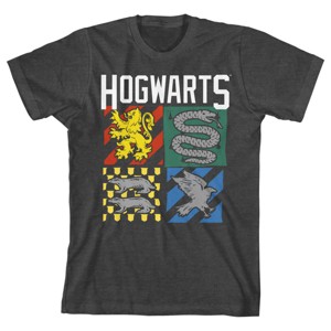 Harry Potter Hogwarts Houses Charcoal Gray Boy's Short-Sleeve T-shirt - 1 of 3