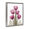 Stupell Industries Pink X-Ray Tulips, 17" x 21" - 3 of 4