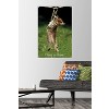 Trends International Famous Kitten Hang In There Poster Unframed Wall Poster Prints - 2 of 4